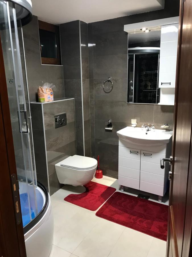 Apartman B3 U Vili Suri Копаоник Экстерьер фото